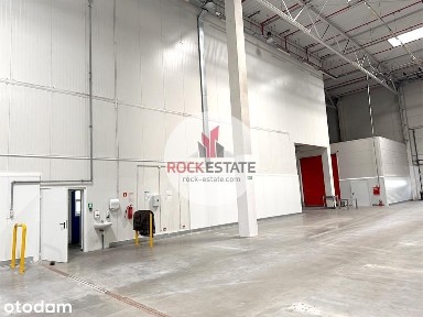 Magazyn 4478 m2 Gdańsk Rudniki - 0% prowizji