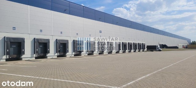 Nowoczesna hala 11000 m2 - Bez Prowizji