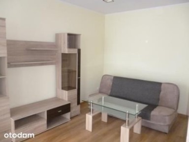 Do Wynajęcia Nowe Mieszkanie na Osiedlu Akacjowym