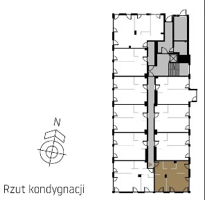 Pękowicka, Tonie, Prądnik Biały, Kraków, małopolskie