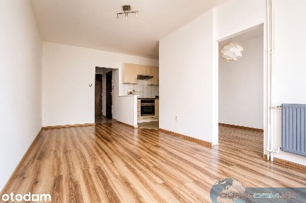 2-pokojowe mieszkanie 43,1 m² z piwnicą - Dolna Wilda - Blisko centrum