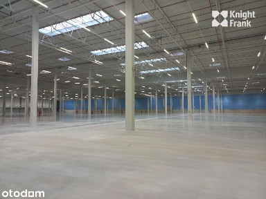 Magazyn klasy A w Gdańsku / 2 050 m2