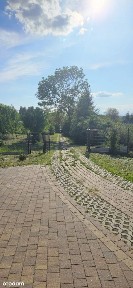 Komfortowy dom z działką i sadem 1.5ha - bezpośrednio