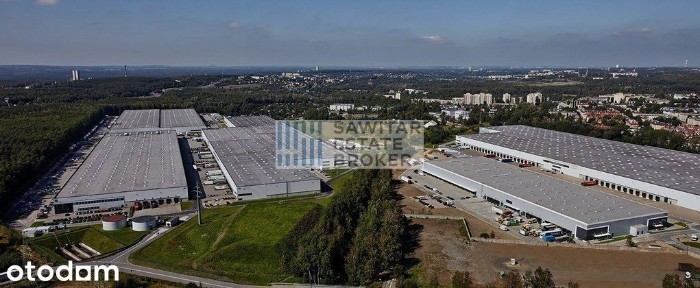 Hala klasy A, od zaraz - Bez Prowizji