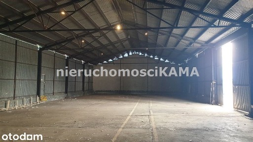 Hala/Magazyn, 522 m², Bielsko-Biała