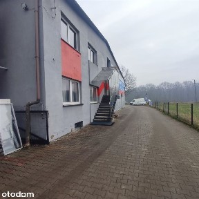 Pszczyna, pszczyński, śląskie