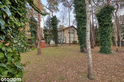 Produkcja | biuro | magazyn | 1356m | Józefów