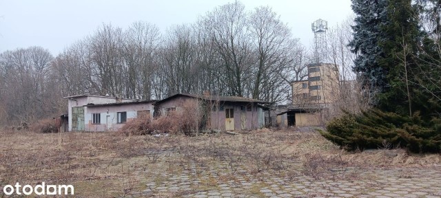 Dąbrowa Górnicza, ul. Dworcowa 11 - kompleks biurowo-magazynowy