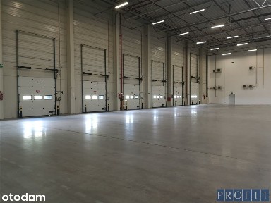 Magazyn 2737m², 4 X dok, 3Xpoziom 0