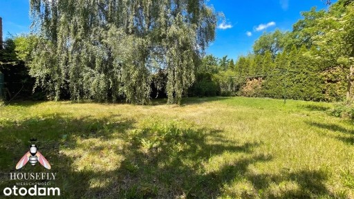 Głogów, głogowski, dolnośląskie