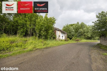 Dom do remontu lub odbudowy, Stegny Elbląg Pasłęk