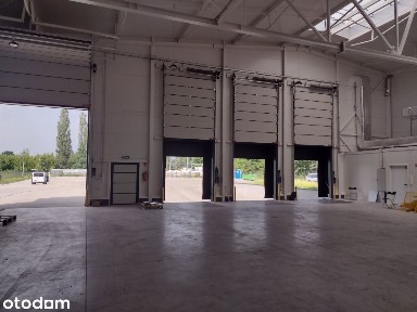 Magazyn + Agencja Celna bez stałych kosztów