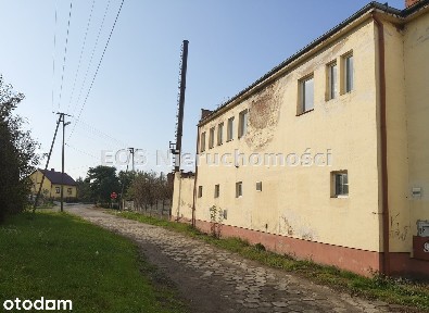 Lokal użytkowy, 1 449 m², Radymno