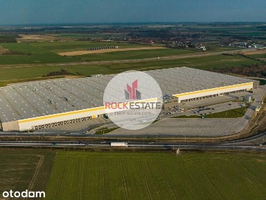 Magazyn w Świebodzinie 10 tyś m2 - 0% prowizji