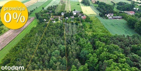 Nowosolna, Widzew, Łódź, łódzkie