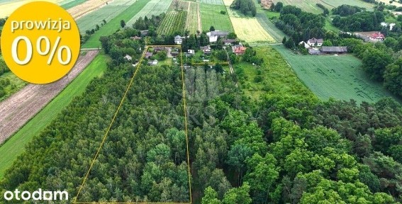 Nowosolna, Widzew, Łódź, łódzkie