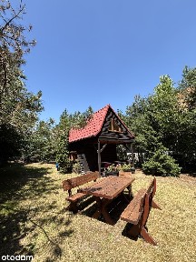 Ostrowo dom działka nad jeziorem Powidzkim tylko 230m do plaży OKAZJA!