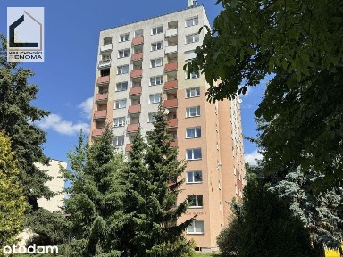 2 pokoje z widokiem na park Sołacki parking balkon