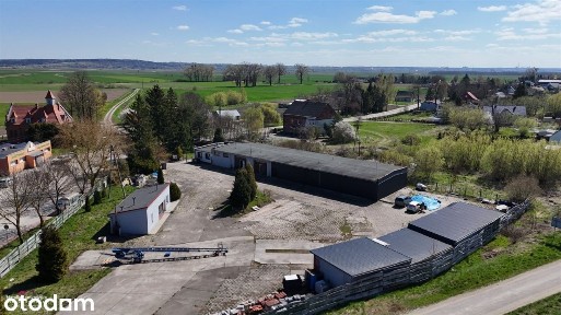 Lokal użytkowy, 437 m², Pastwa