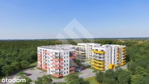 Nowe 3 pokoje w stanie deweloperskim
