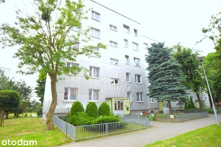 Mieszkanie na Nowym Mieście/ 2 pokoje/, 45,50m2