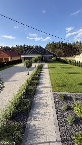 WYJĄTKOWY DOM OTOCZONY LASEM - KOSTRZYN NAD ODRĄ - wysoki standard