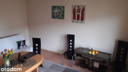 Wygodne mieszkanie na os. Stefana Batorego 14