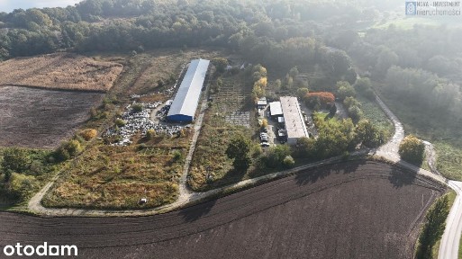 ul. Piaskowa, Rzeczyce, Rudziniec, gliwicki, śląskie