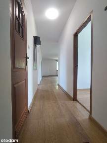ul. Jagiellońska, Nysa, nyski, opolskie