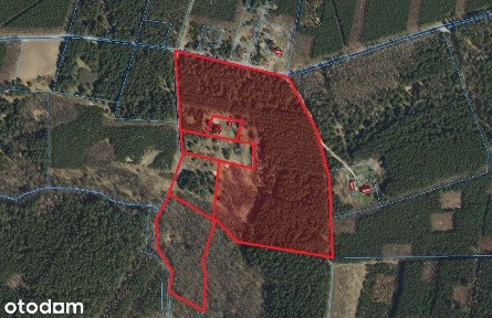 Janowice gm. Sompolno - Urokliwe siedlisko 7,31 ha