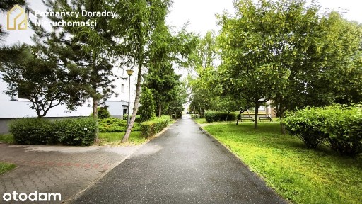 5 lub 4 pokojowe mieszkanie na osiedlu Batorego