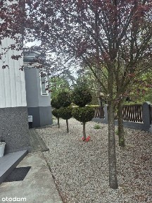 2 mieszkania w domu wolnostojącym