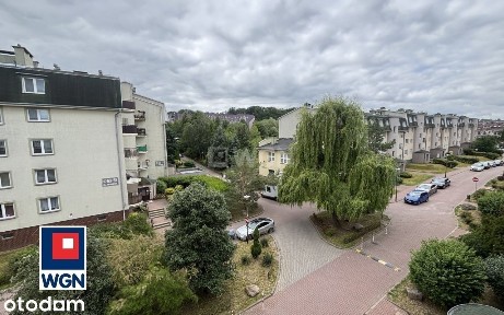 Brązowa, Bukowe-Klêskowo, Prawobrzeże, Szczecin, zachodniopomorskie