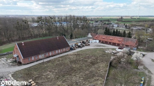 obiekt inwestycyjny*Zakrzewo gm. Radzyń Chełmiński