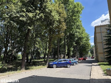 Piękne mieszkanie po remoncie 37,5m² z dużą piwnicą, widok na park