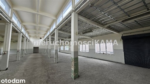 Hala/Magazyn o powierzchni 495,71m²