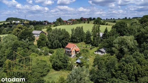 Dom z widokiem na 88 arach, Janowice, Pleśna