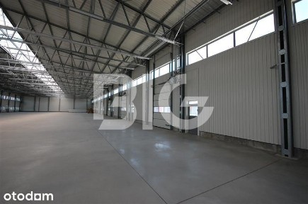 Nowy magazyn, hala produkcyjna, Gdańsk