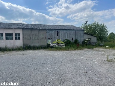 Hala 300 m2, duża działka, Szczucin, małopolska