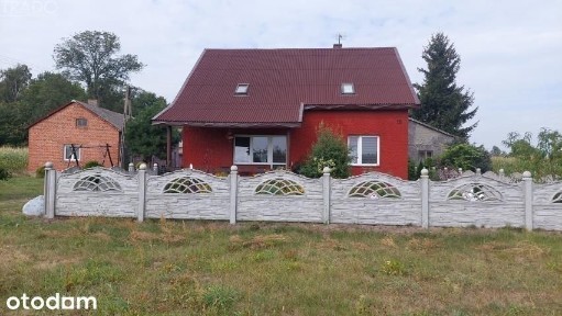 Gospodarstwo 6ha, Babiak, Krukowo