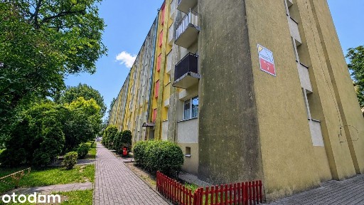 Mieszkanie do remontu - Pabianice, ul.Niecała