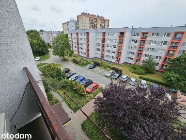 M-3 na wynajem Raków