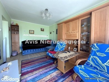 Mieszkanie z działką o powierzchni 488m2.