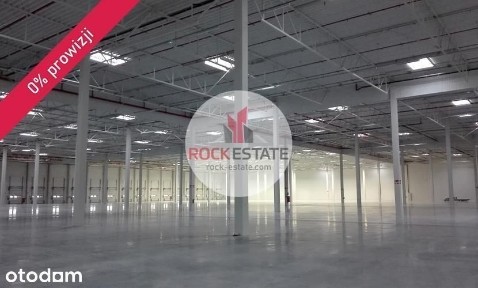Magazyn 12 700 m2 od zaraz - 0% prowizji