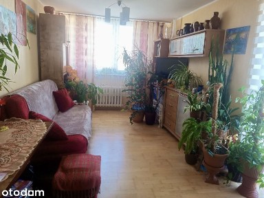 M3, funkcjonalny rozkład, 2 osobne pokoje, blisko centrum