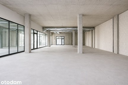 Lokal użytkowy 274 m2 na wynajem długoterminowy w Olszynki Park