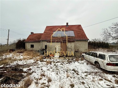 Roszowicki Las, Cisek, kędzierzyńsko-kozielski, opolskie