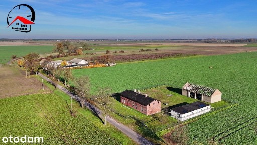 Konary, Dąbrowa Biskupia, inowrocławski, kujawsko-pomorskie