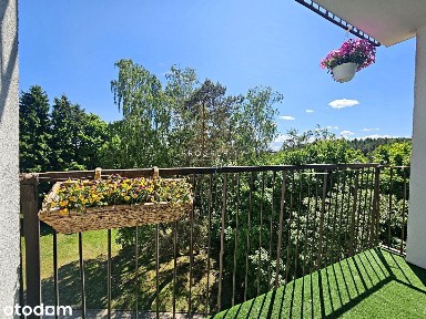 Bez zezwolenia MSWiA I 2pokoje w otoczeniu zieleni