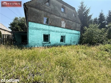 Rząśnik - mieszkanie z ogrodem do remontu